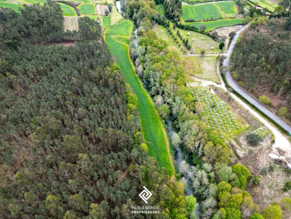 Terreno para Venda em Fragoso Foto 5