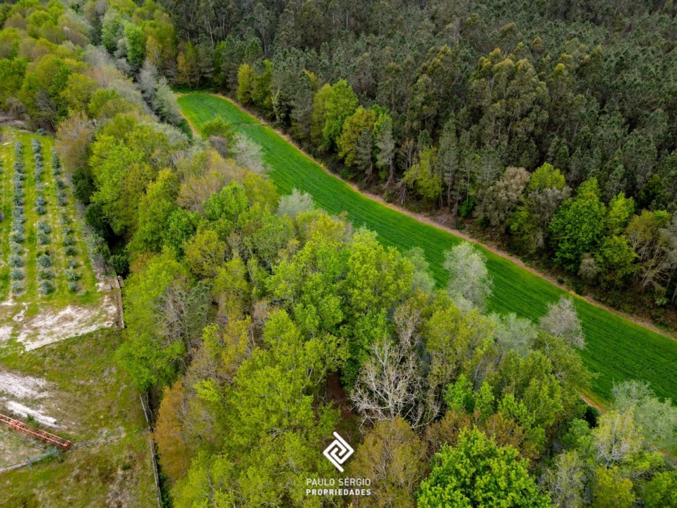 Terreno para Venda em Fragoso Foto 9