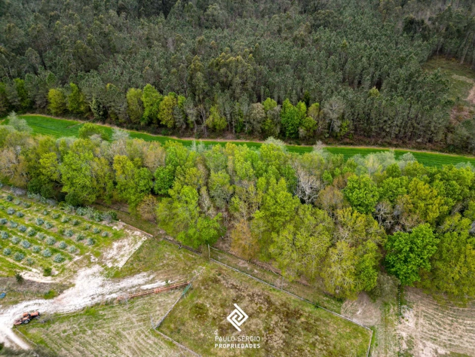 Terreno para Venda em Fragoso Foto 13