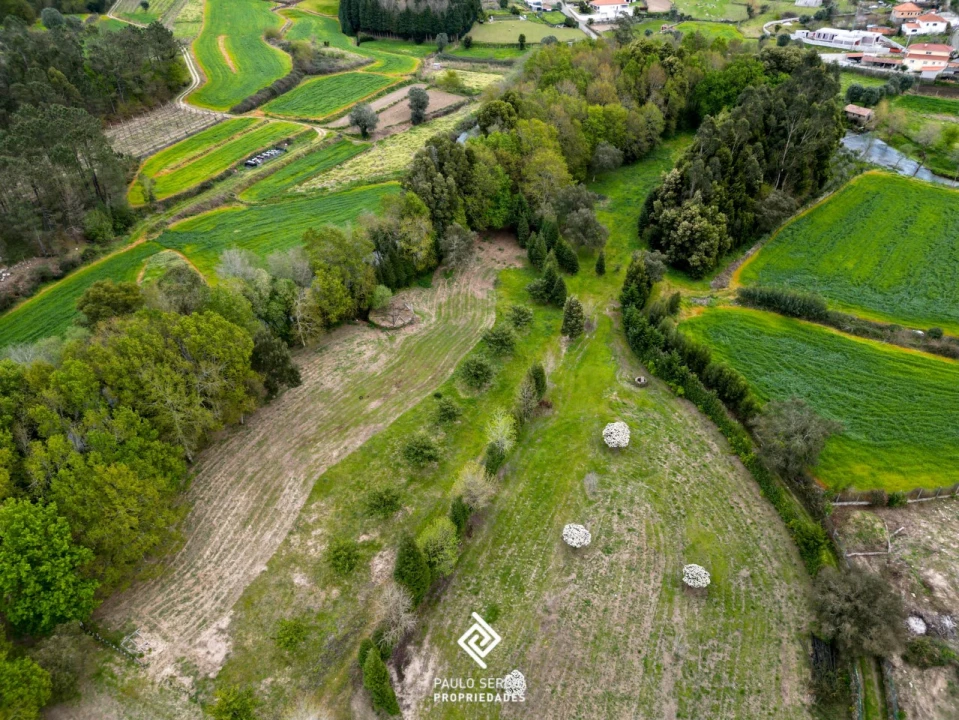 Terreno para Venda em Fragoso Foto 14