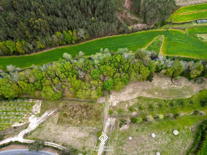 Terreno para Venda em Fragoso Foto 3