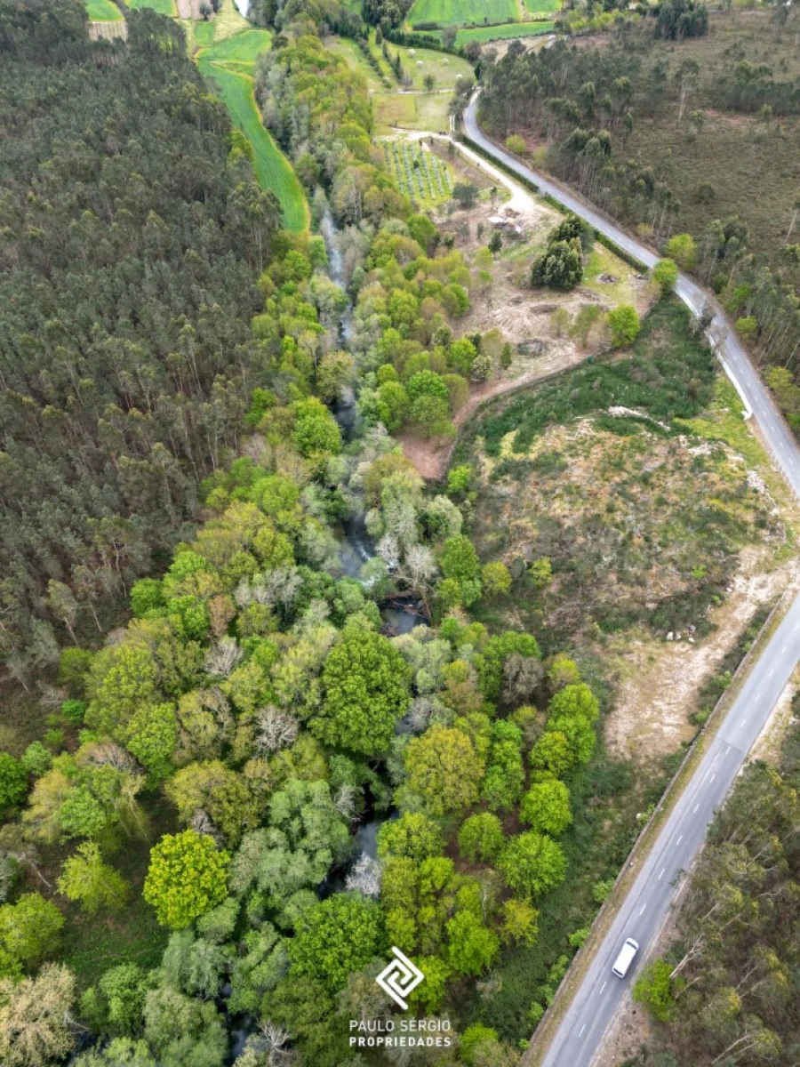 Terreno para Venda em Fragoso Foto 4