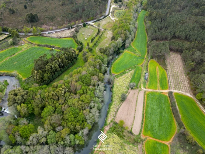 Terreno para Venda em Fragoso Foto 6