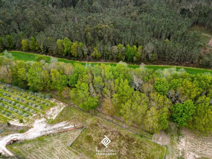 Terreno para Venda em Fragoso Foto 13