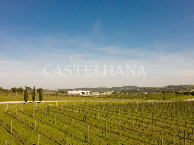 Moradia T2 para Venda em Nossa Senhora da Vila, Nossa Senhora do Bispo e Silveiras Foto 6