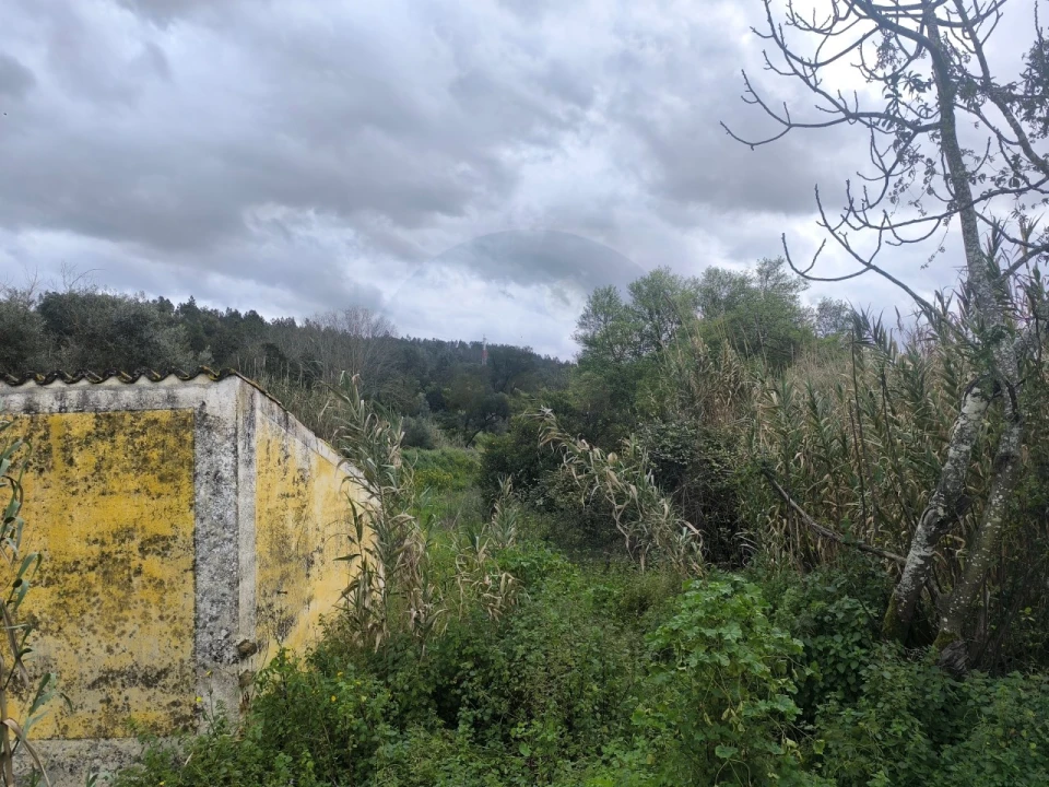 Quinta para Venda em Rio de Moinhos Foto 9
