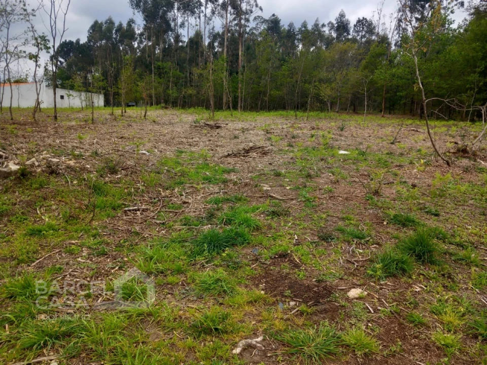 Terreno para Venda em Campo e Tamel (São Pedro Fins) Foto 3