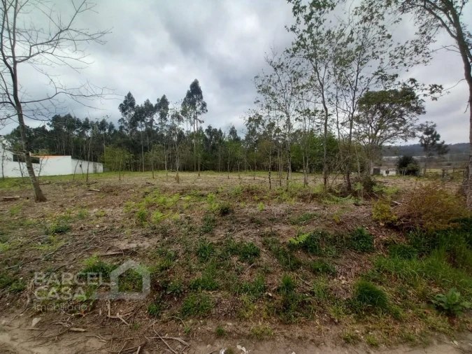 Terreno para Venda em Campo e Tamel (São Pedro Fins) Foto 1