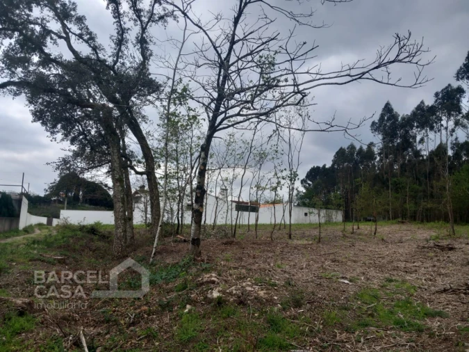 Terreno para Venda em Campo e Tamel (São Pedro Fins) Foto 5