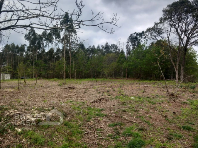 Terreno para Venda em Campo e Tamel (São Pedro Fins) Foto 7