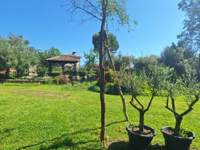 Quinta T8 para Venda em Fragoso Foto 7