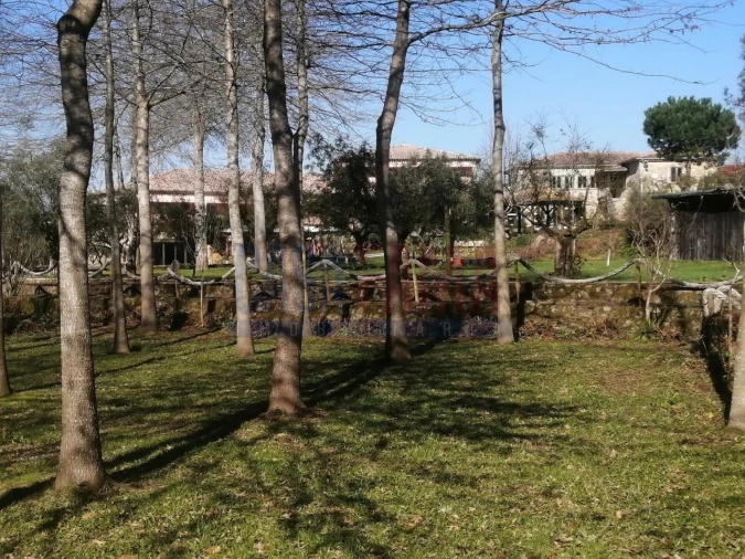 Quinta T8 para Venda em Fragoso Foto 32