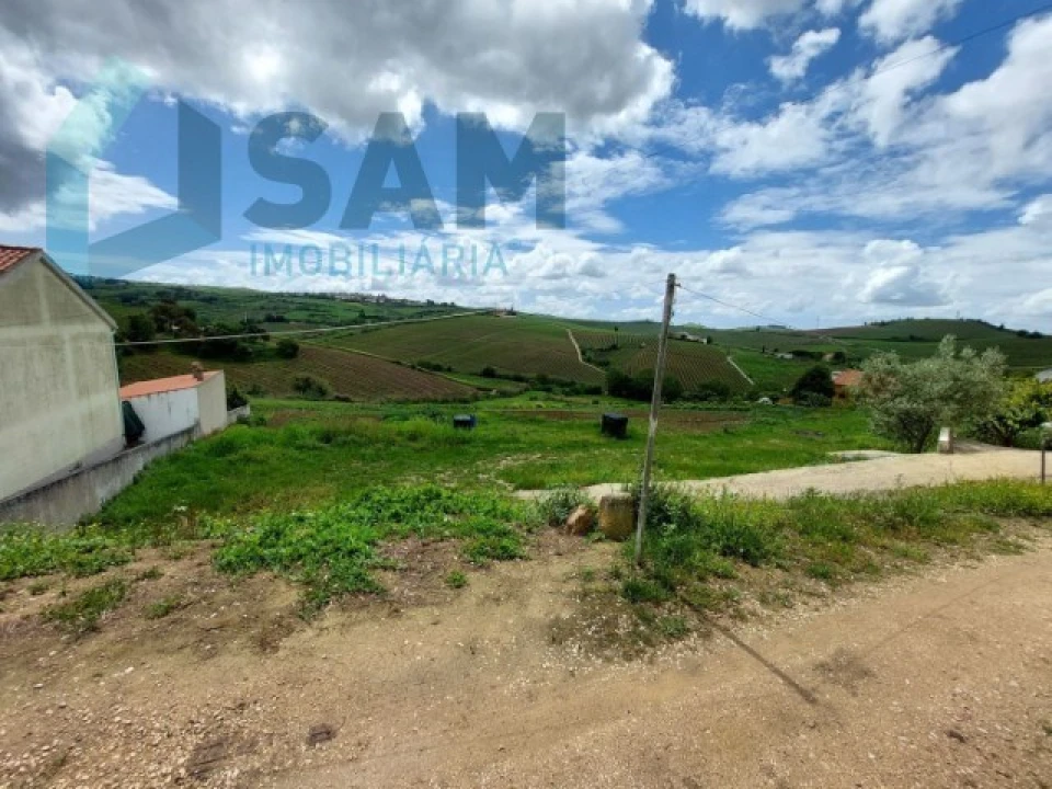 Terreno Misto para Venda em Ribafria e Pereiro de Palhacana Foto 6