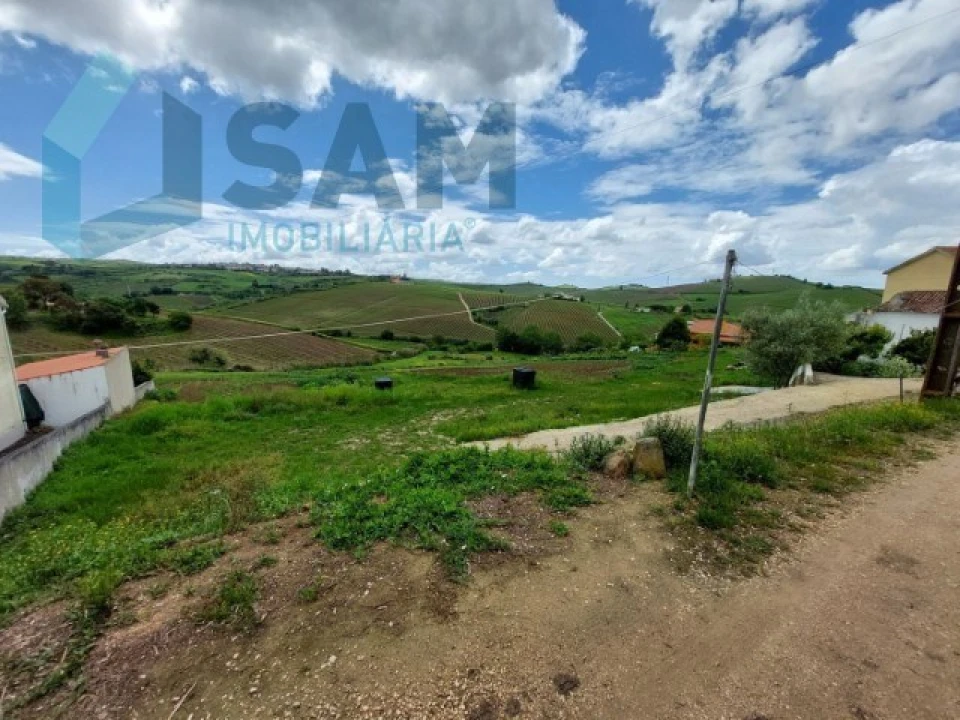 Terreno Misto para Venda em Ribafria e Pereiro de Palhacana Foto 4