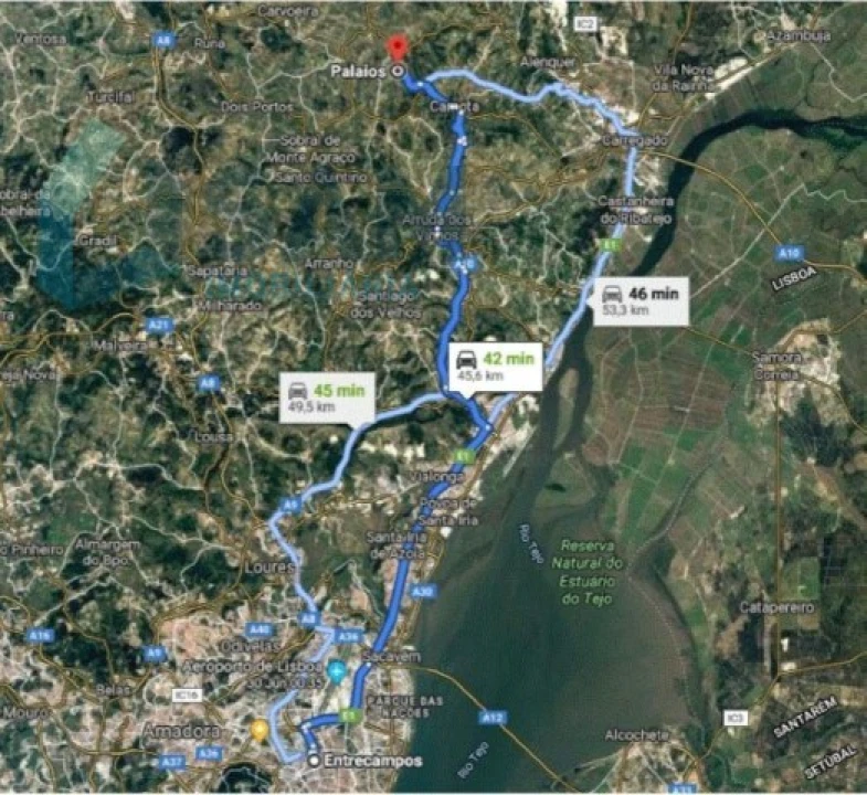 Terreno Misto para Venda em Ribafria e Pereiro de Palhacana Foto 16