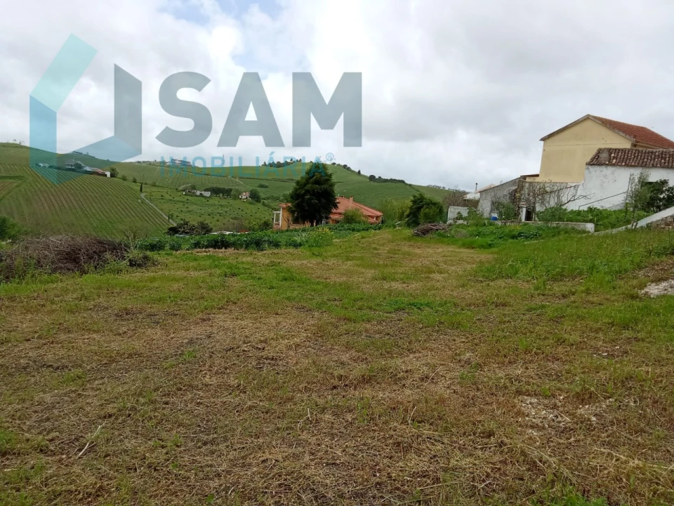 Terreno Misto para Venda em Ribafria e Pereiro de Palhacana Foto 5