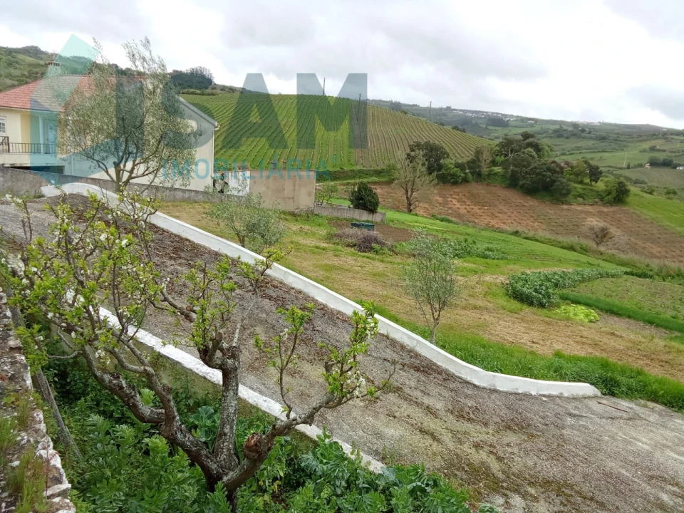 Terreno Misto para Venda em Ribafria e Pereiro de Palhacana Foto 3