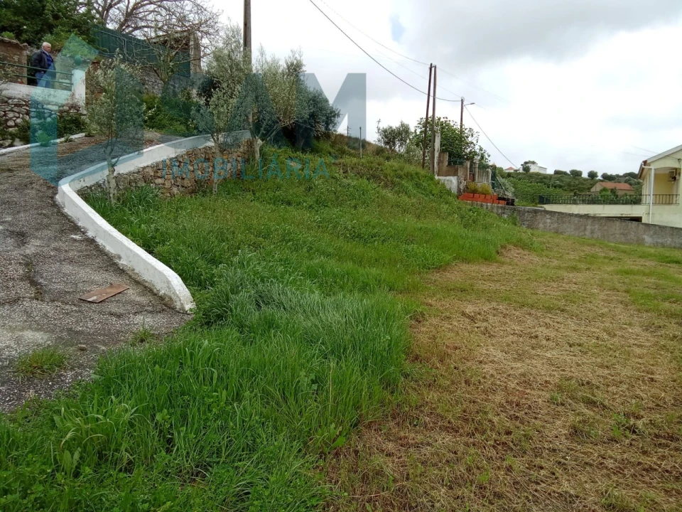Terreno Misto para Venda em Ribafria e Pereiro de Palhacana Foto 9