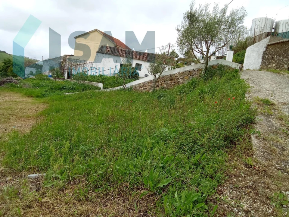 Terreno Misto para Venda em Ribafria e Pereiro de Palhacana Foto 11