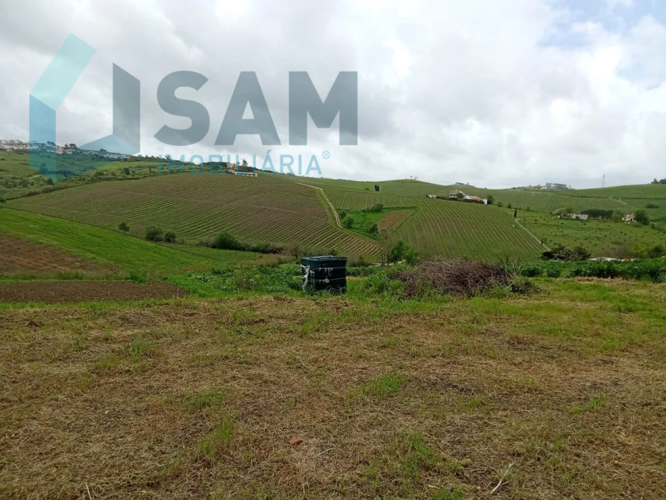 Terreno Misto para Venda em Ribafria e Pereiro de Palhacana Foto 12