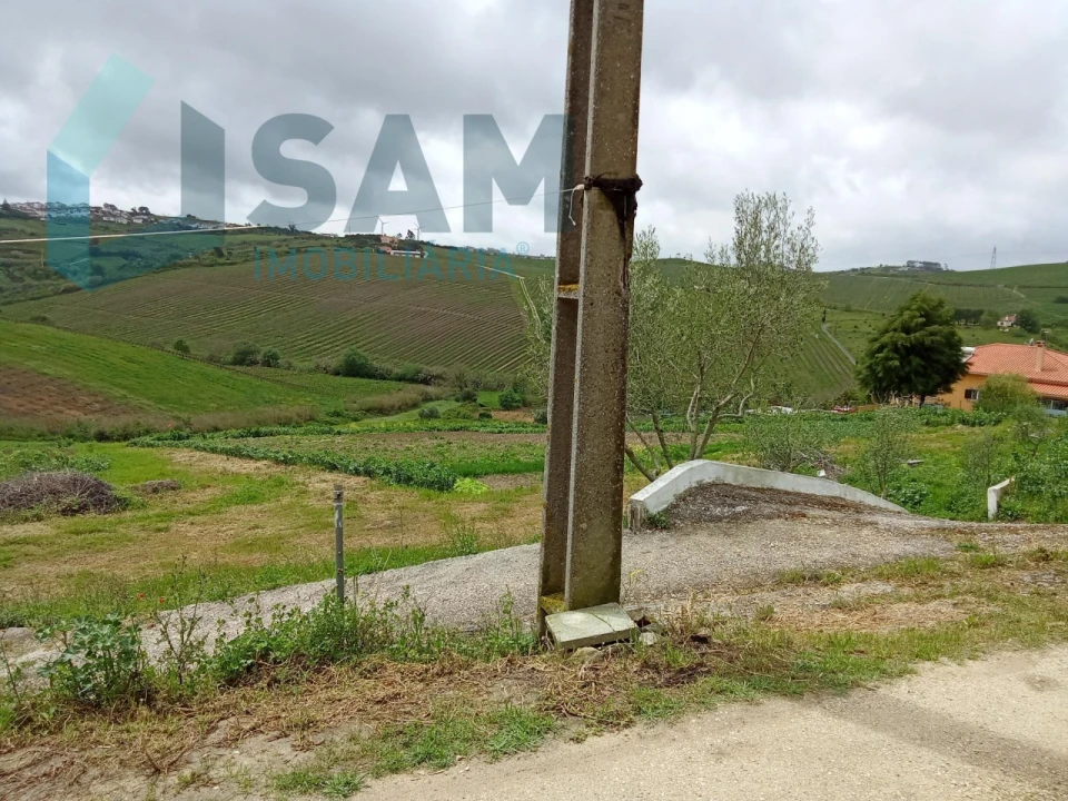 Terreno Misto para Venda em Ribafria e Pereiro de Palhacana Foto 14