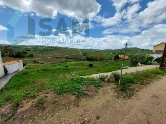 Terreno Misto para Venda em Ribafria e Pereiro de Palhacana Foto 4