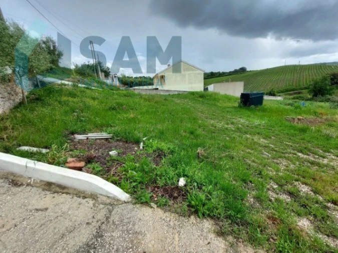 Terreno Misto para Venda em Ribafria e Pereiro de Palhacana Foto 7