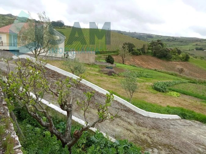 Terreno Misto para Venda em Ribafria e Pereiro de Palhacana Foto 2