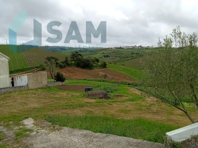 Terreno Misto para Venda em Ribafria e Pereiro de Palhacana Foto 3