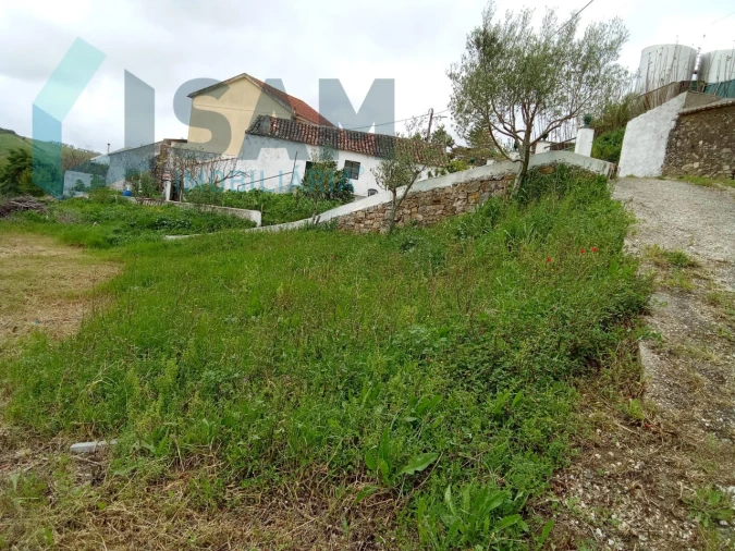 Terreno Misto para Venda em Ribafria e Pereiro de Palhacana Foto 11