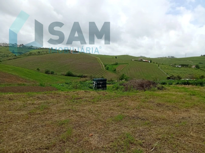 Terreno Misto para Venda em Ribafria e Pereiro de Palhacana Foto 12