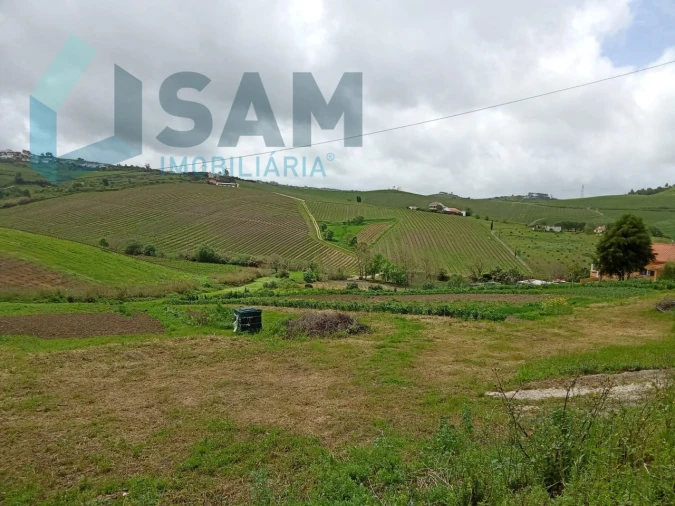 Terreno Misto para Venda em Ribafria e Pereiro de Palhacana Foto 13