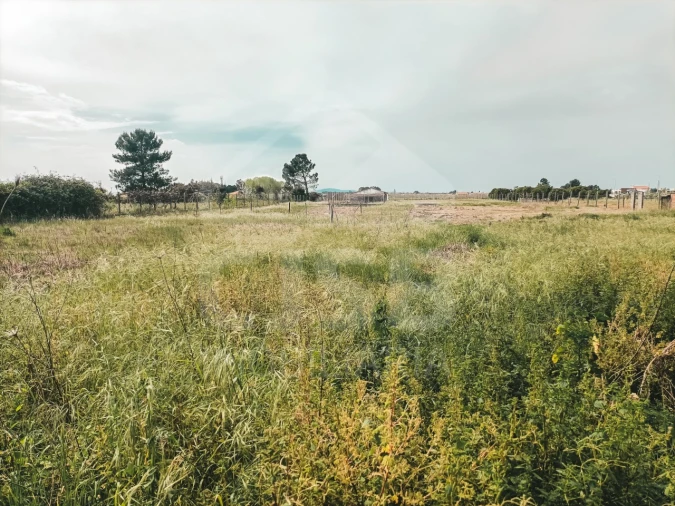 Moradia T4 para Venda em Marinhais Foto 35