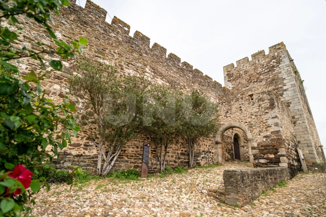 Moradia T3 para Venda em Terena (São Pedro) Foto 16