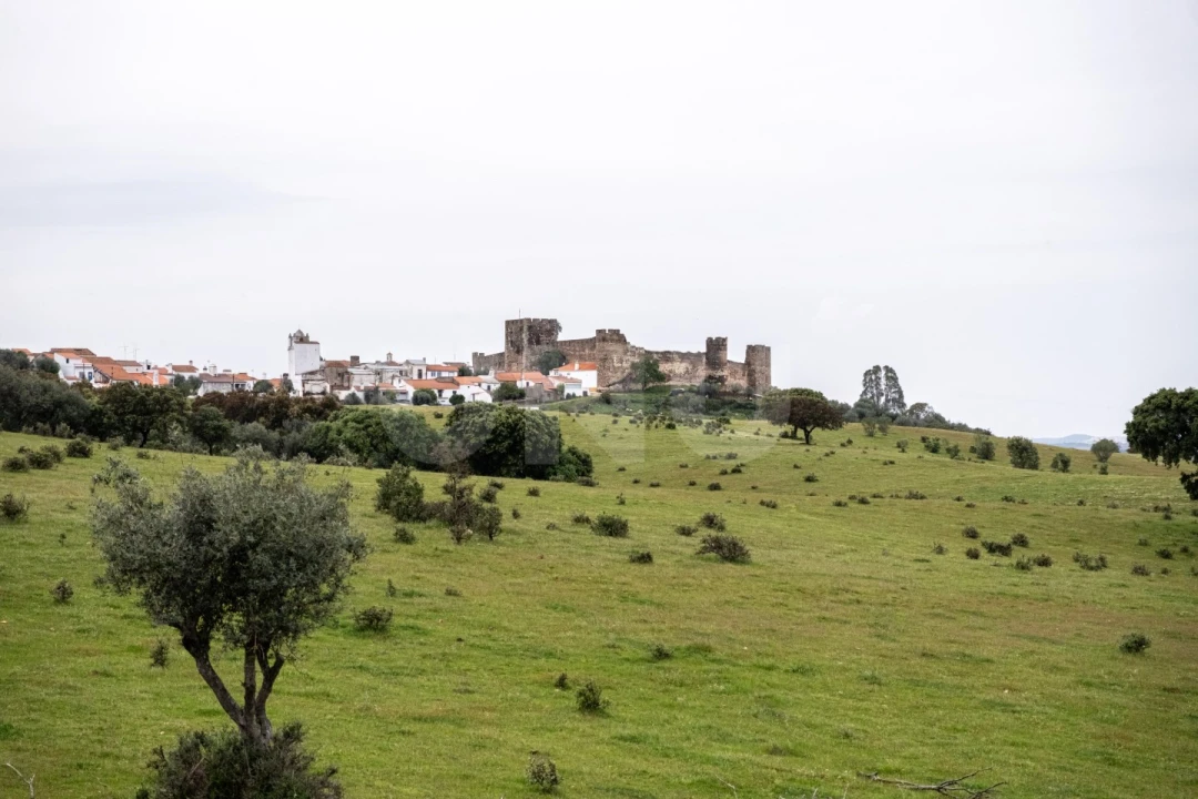 Moradia T3 para Venda em Terena (São Pedro) Foto 15