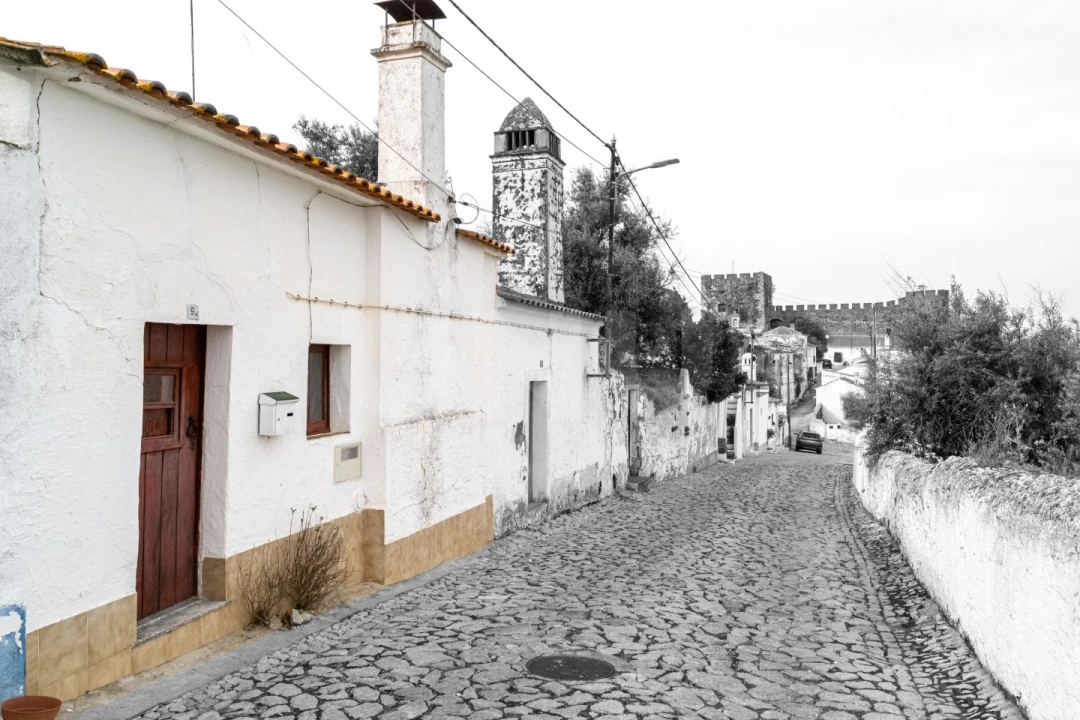 Moradia T3 para Venda em Terena (São Pedro) Foto 4