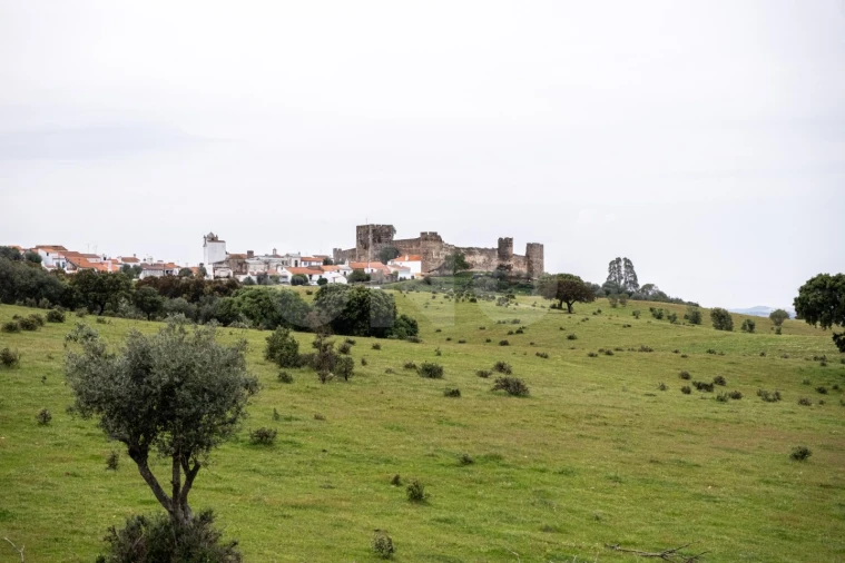 Moradia T3 para Venda em Terena (São Pedro) Foto 16