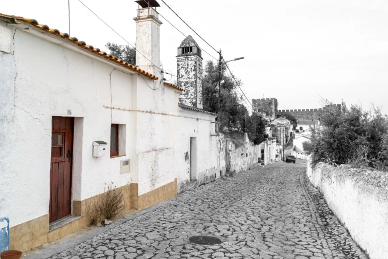 Moradia T3 para Venda em Terena (São Pedro) Foto 4