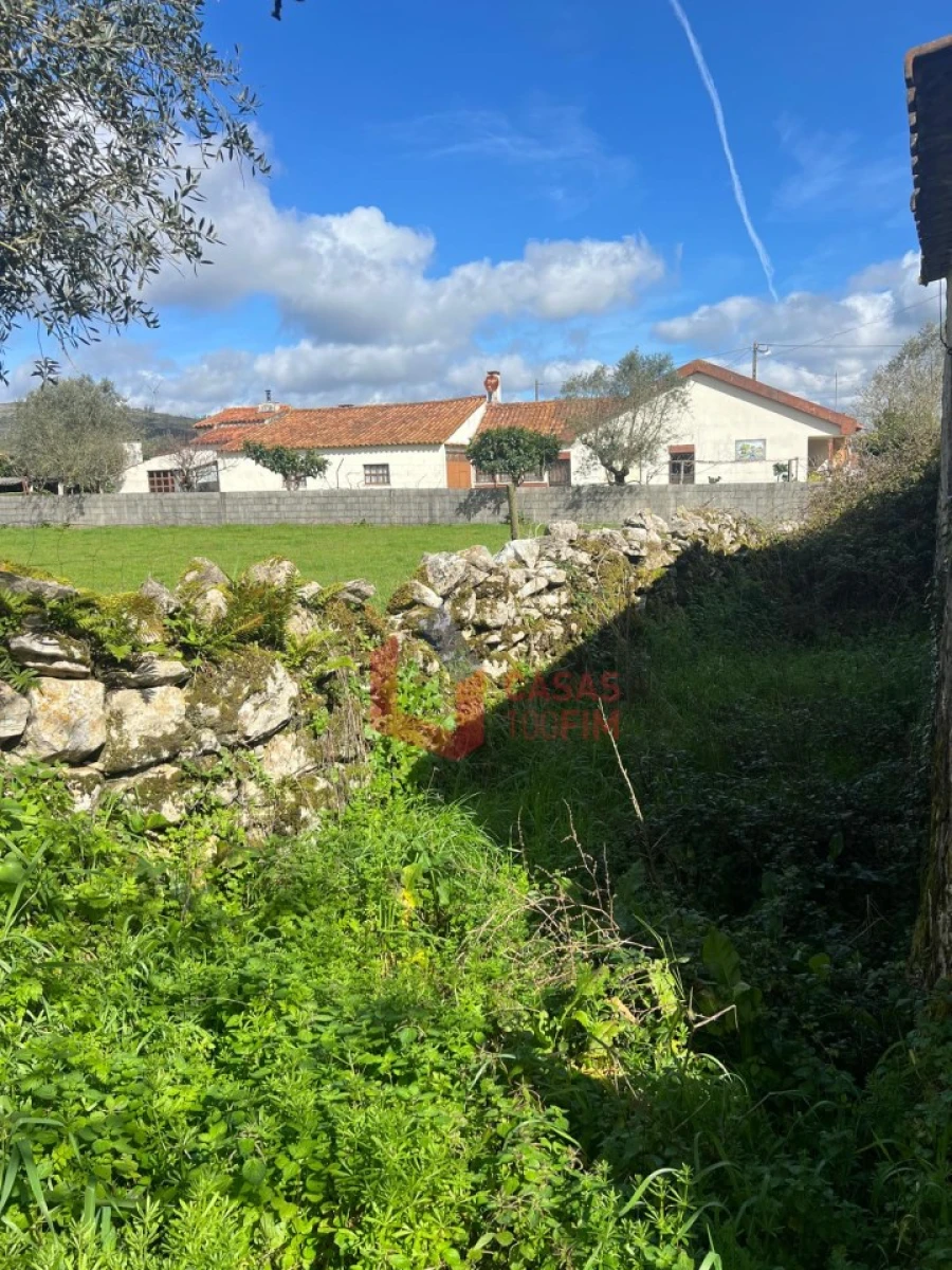 Moradia T2 para Venda em Arrimal e Mendiga Foto 10