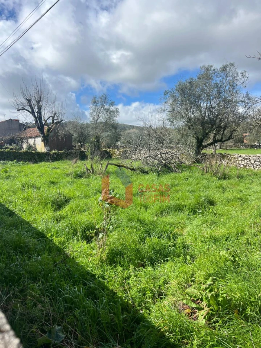 Moradia T2 para Venda em Arrimal e Mendiga Foto 13