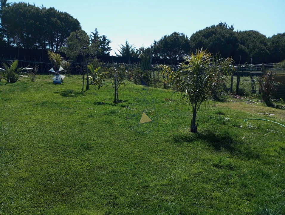 Negócio para Venda em Odeceixe Foto 27