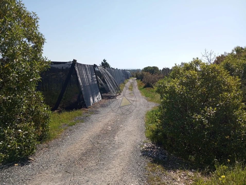 Negócio para Venda em Odeceixe Foto 14