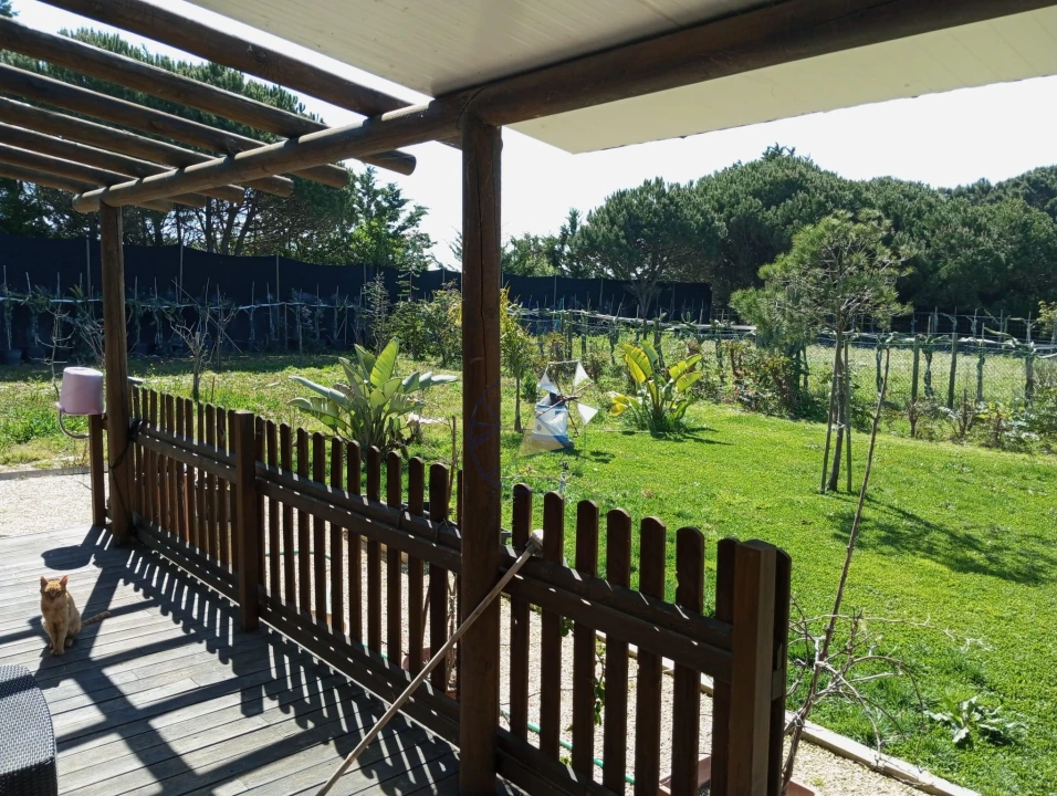 Negócio para Venda em Odeceixe Foto 21