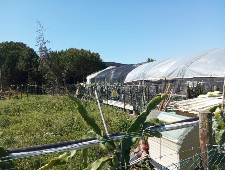 Negócio para Venda em Odeceixe Foto 24