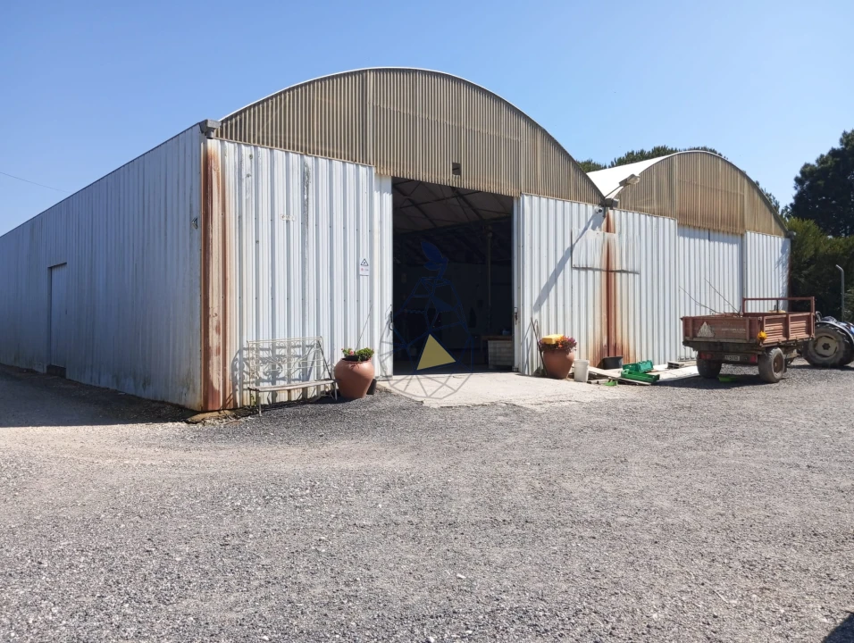 Negócio para Venda em Odeceixe Foto 8