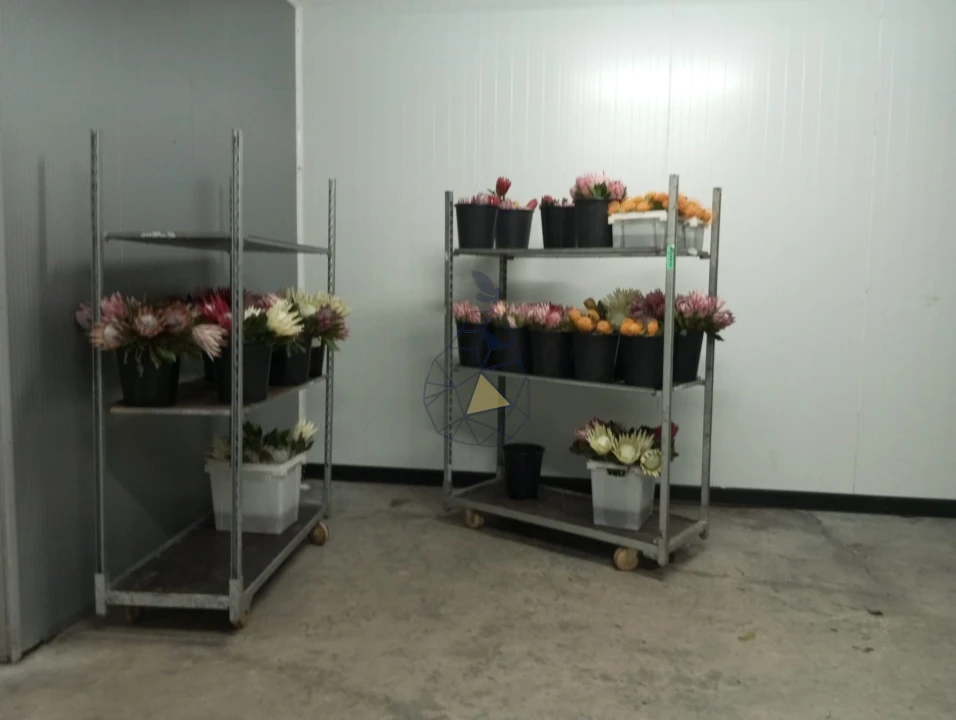 Negócio para Venda em Odeceixe Foto 36