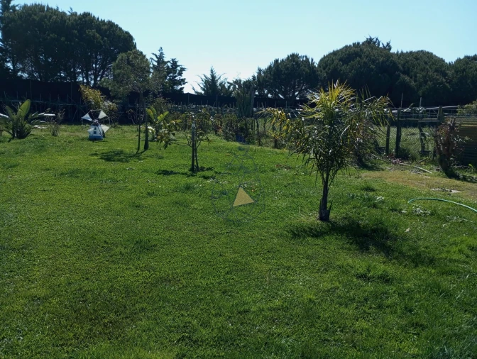 Negócio para Venda em Odeceixe Foto 27