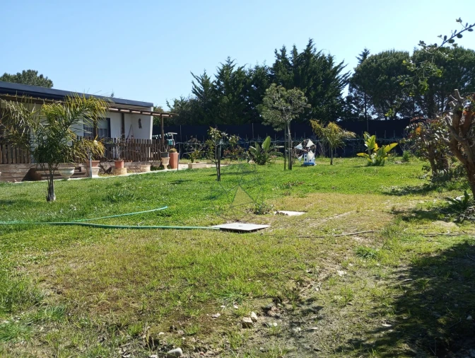 Negócio para Venda em Odeceixe Foto 26