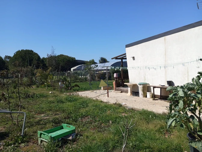 Negócio para Venda em Odeceixe Foto 22