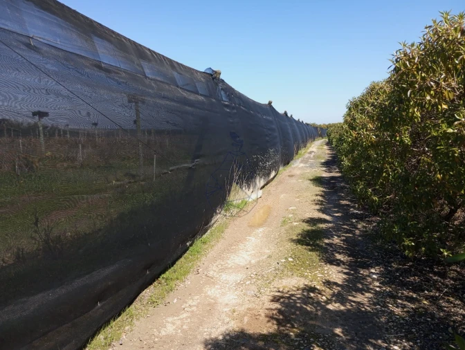 Negócio para Venda em Odeceixe Foto 9